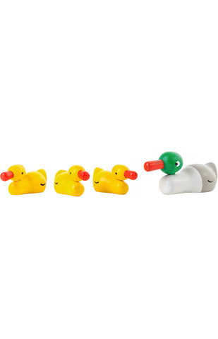Duck Family